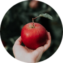 A fresh red apple being held by a hand