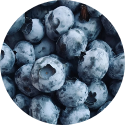 A large bundle of fresh blueberries