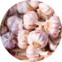A large amount of garlic in a pile