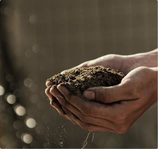 A picture of a pair of hands holding a large amount of soil