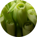 A large amount of leeks in a bunch together