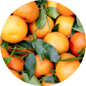 A pile of fresh oranges with some green leaves on the pile